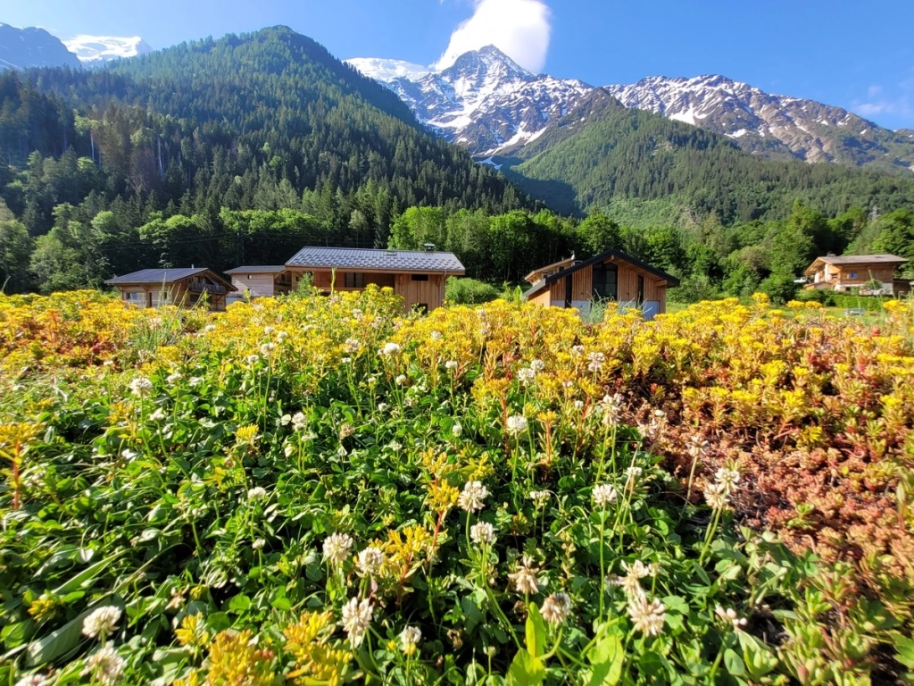 Paysagiste à Lyon : Faites appel à Primevère
