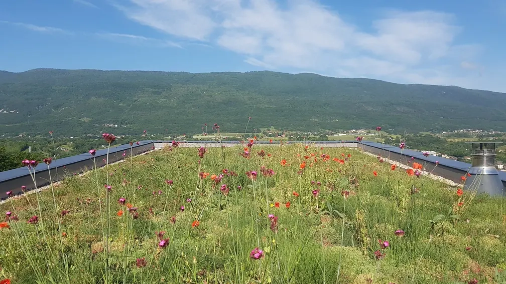 Le toit végétal qui <span>améliore votre habitat</span>